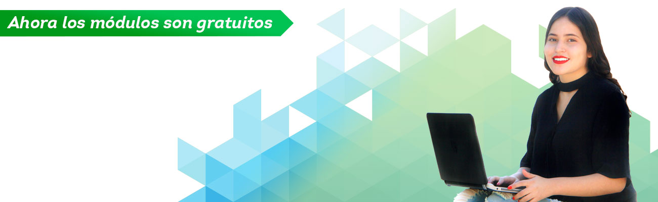 Preparatoria en línea