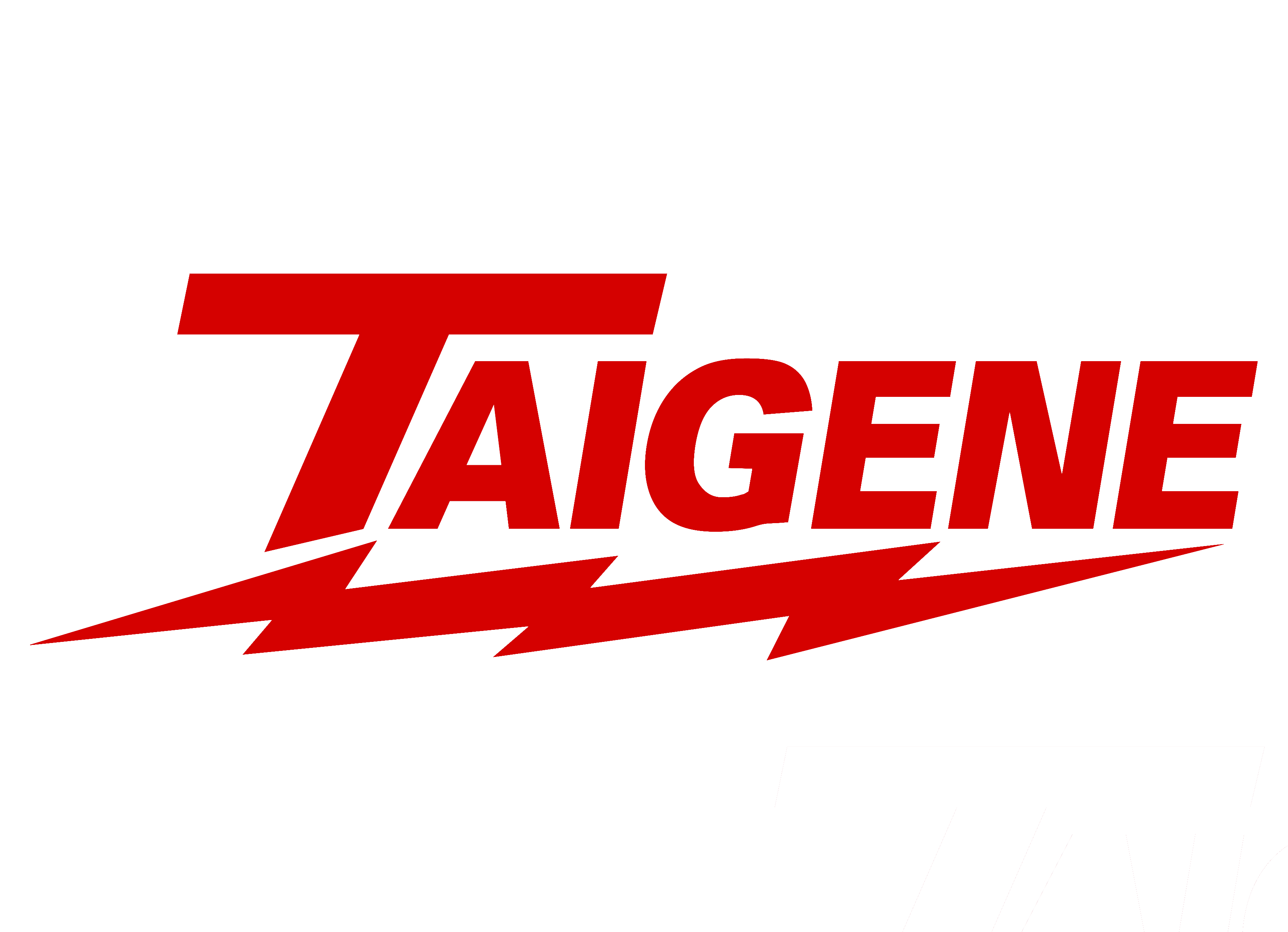Logotipo taigene